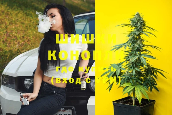 mdpv Рославль