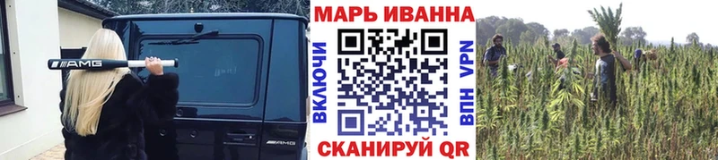 Бошки Шишки конопля  Уржум 